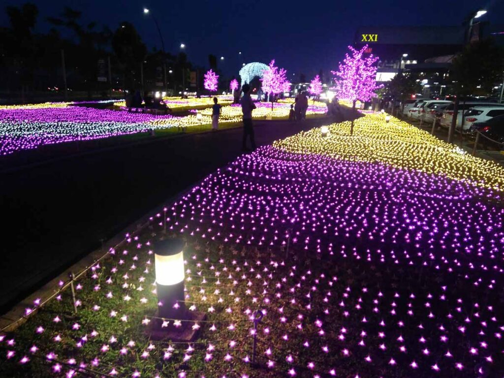 Pertunjukan Sakura Lite Tunnel dan Sakura Illumination Park